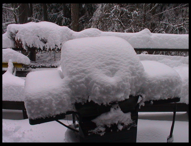 Here is a picture of the back porch about 8 AM.