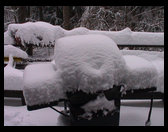 Here is a picture of the back porch about 8 AM.