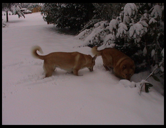 Look at those two go, better than a snowplow.