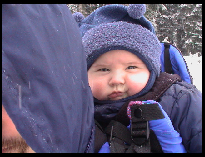 There is Logan on Daddy's back. He liked the snow.