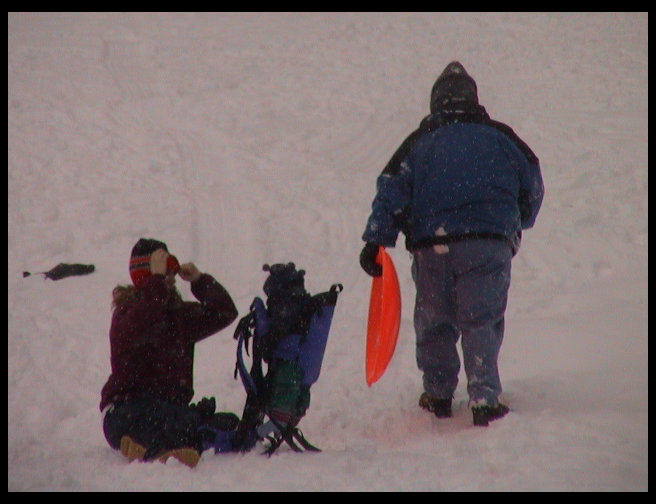 Looks like Sandra went sledding.