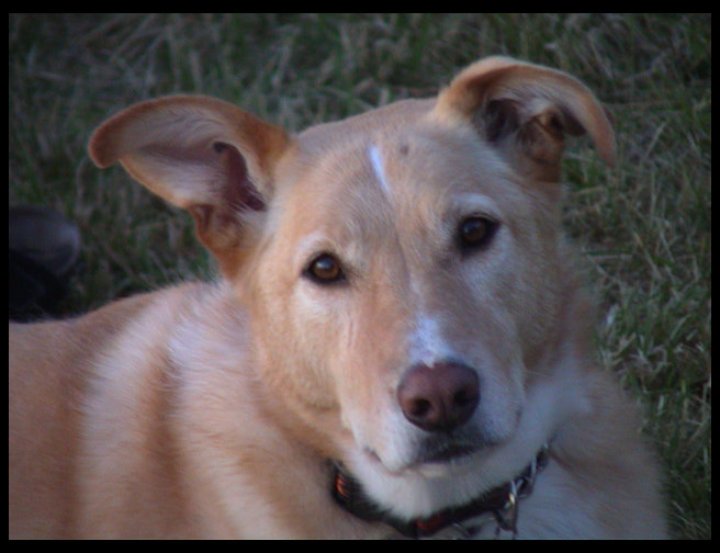 Our pretty little princess.