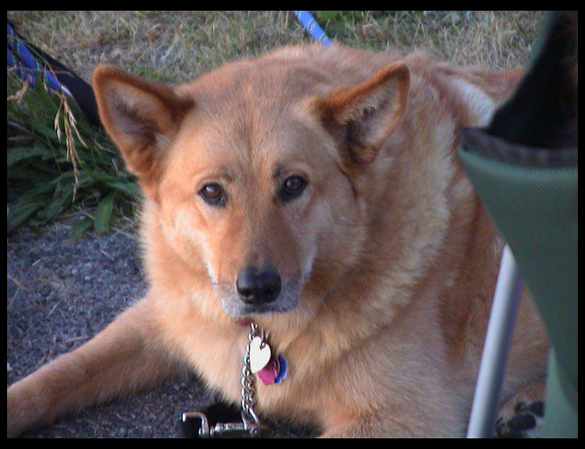 Our beautiful queen.