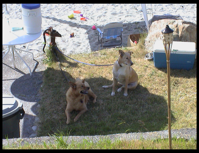 Maya and Baja being good.