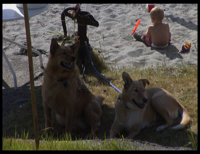 Baja and Maya enjoying themselves.