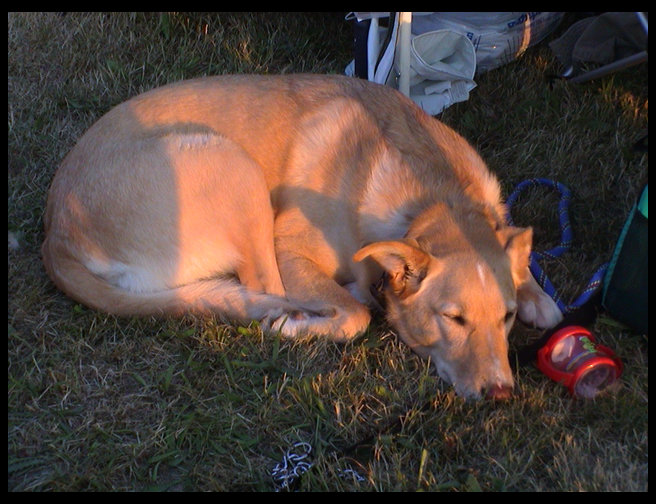 Maya still sacked out.