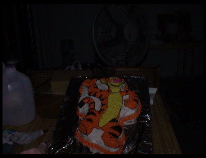 Logan's birthday cake that Timm decorated.