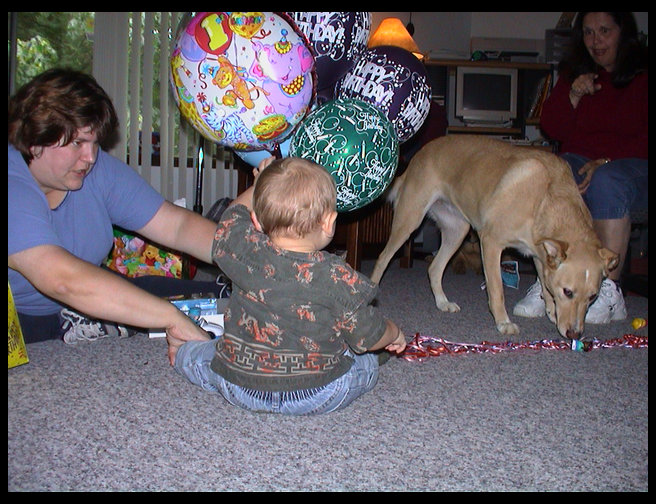 He really likes the balloons.