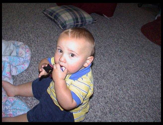 Logan is chewing on Baja's dog tags.