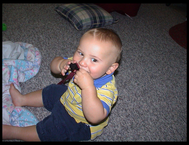 He loves the dog's collar for some reason.