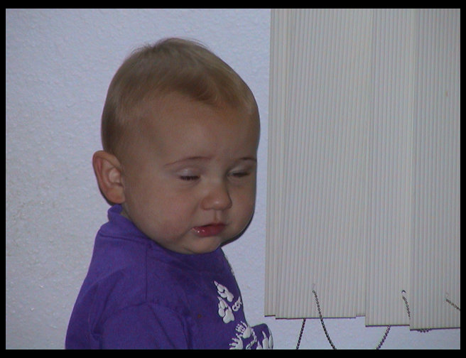 Not the best picture.