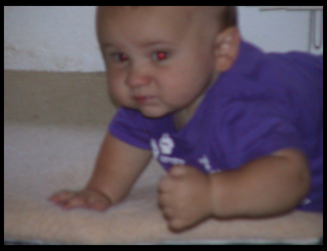 Logan and Baja's bed.