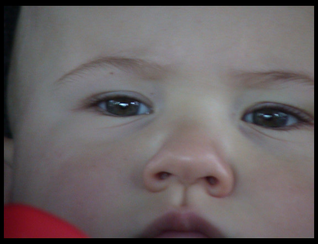 An extreme close-up.