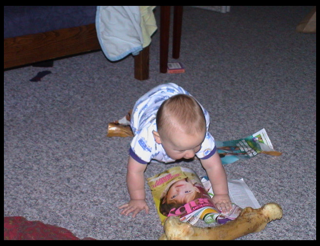 Going after the dog bone.