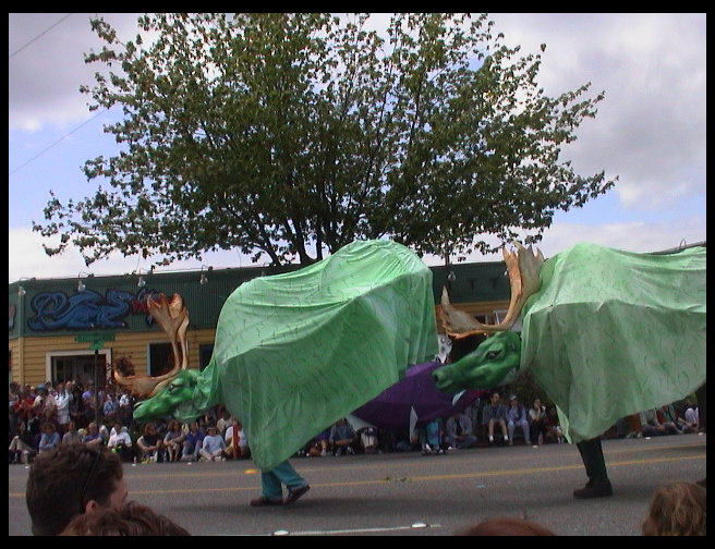 There was a whold herd of them