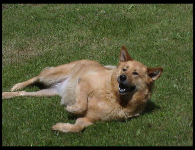 There is our silly Pooh.