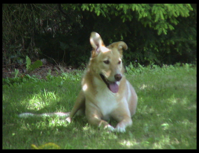 And their is Princess Maya.