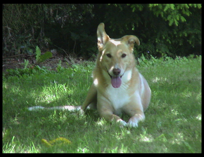 Another picture of our Princess.