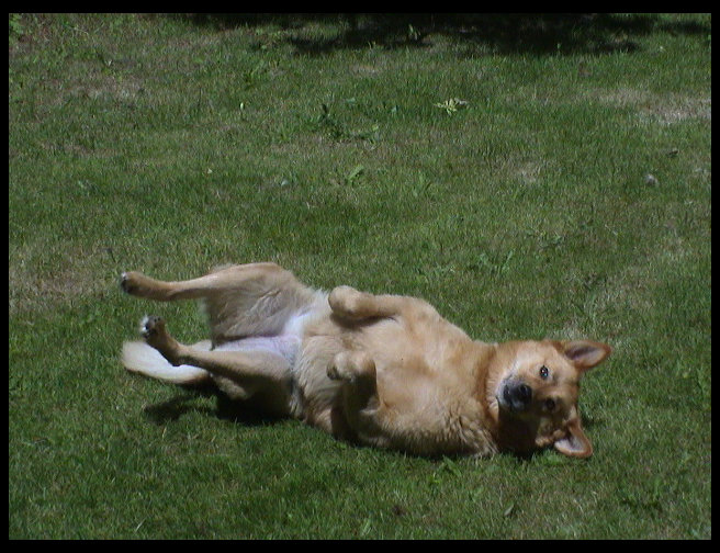 And there is Queen Pooh.