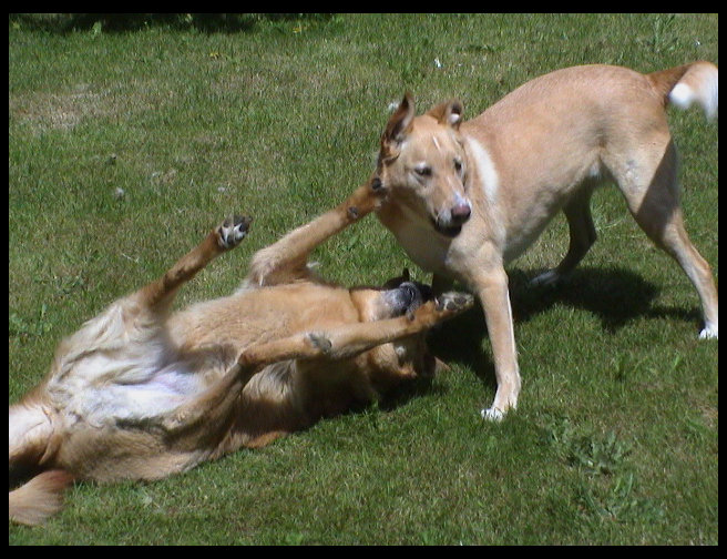 See, Baja and Maya really love each other.