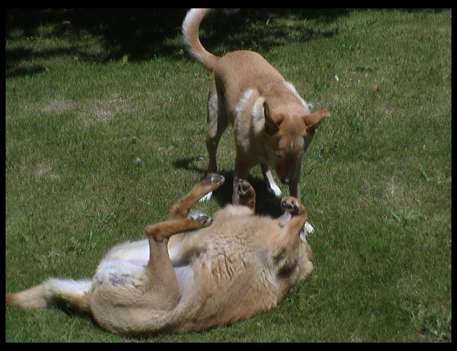 And they are still goofy as hell.