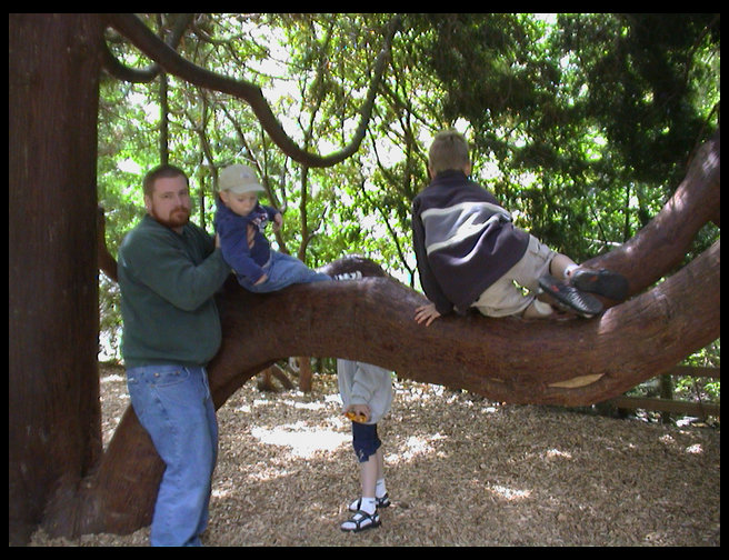 Mark, Walter, Lisa and Erik on a cool tree.