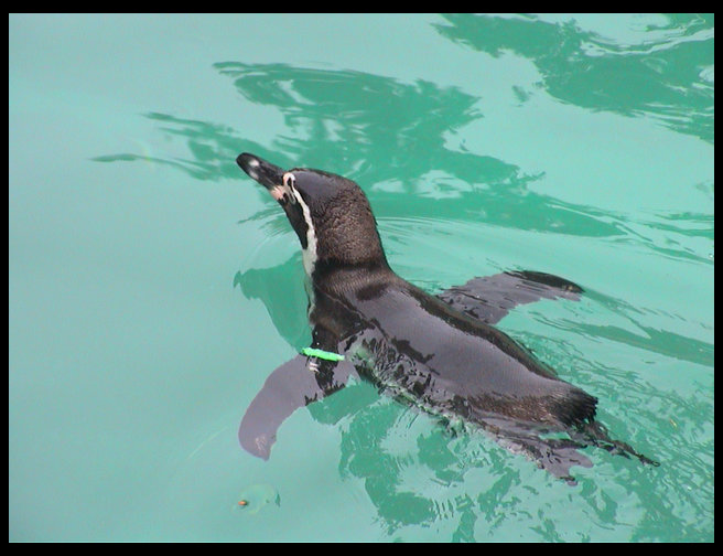 Logan really liked these guys.