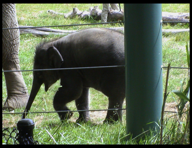 She is really very cute.