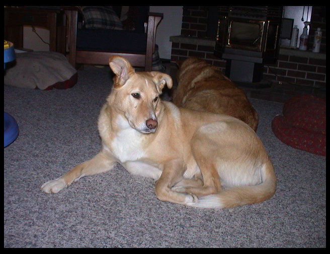 There is Maya acting Princess like.