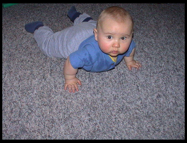 Now he standing up on his toes and hands.