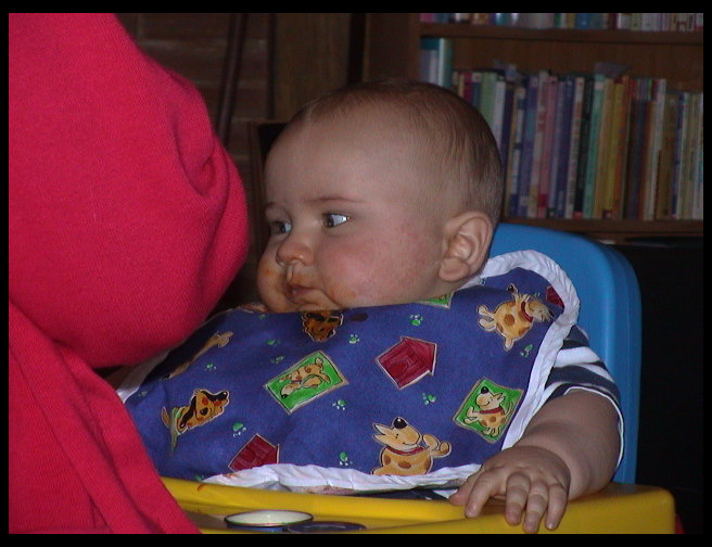 Maya having to have a collar on so she doesn't chew her foot.