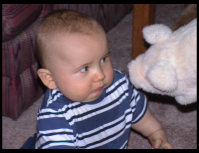 Logan looking at the pig like it is crazy.