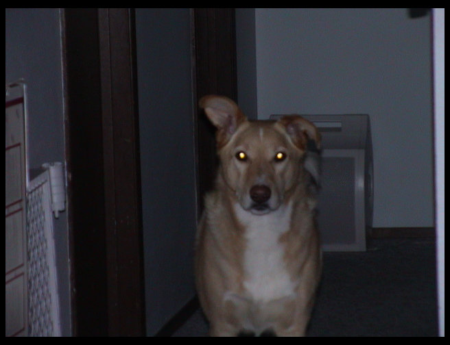 Maya coming out of the bedroom.