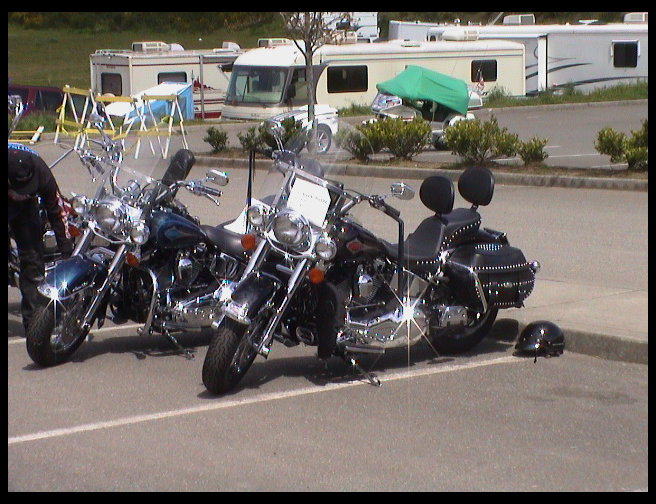 Harleys in the bike show