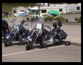 Harleys in the bike show
