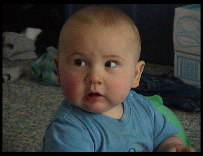 Great picture of our handsome son.