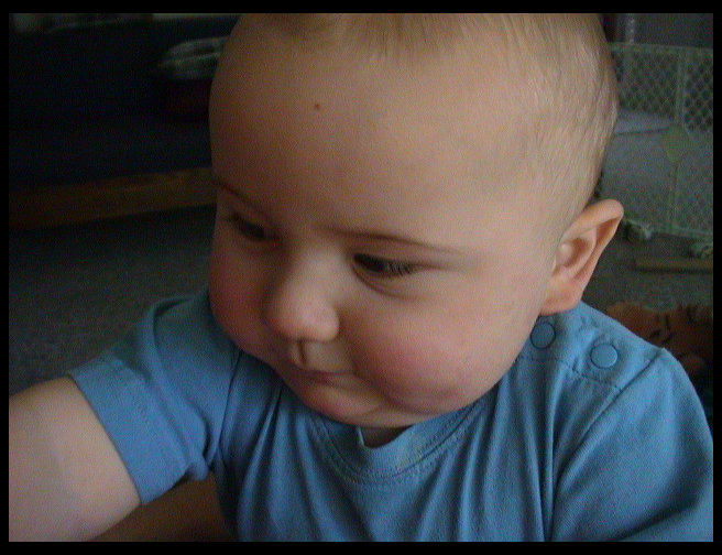 What is Logan so intrigued with?