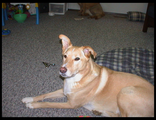 Maya waiting for someone to love her.