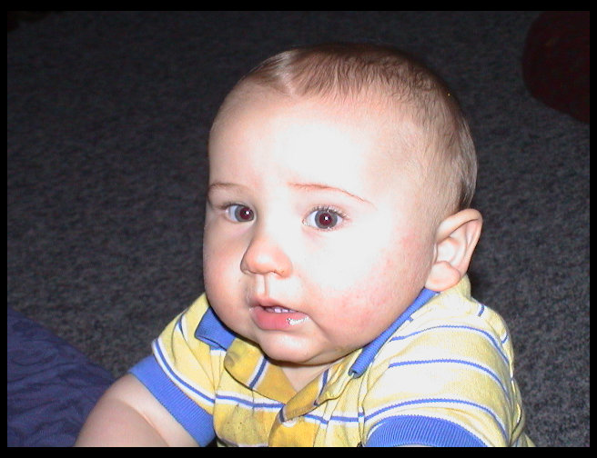 Standing up against the couch.