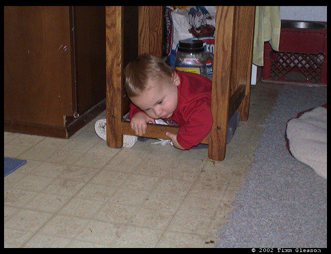 Logan loves crawling and climbing.
