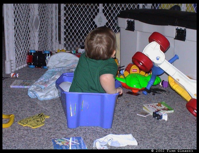 Logan in the plastic bin.