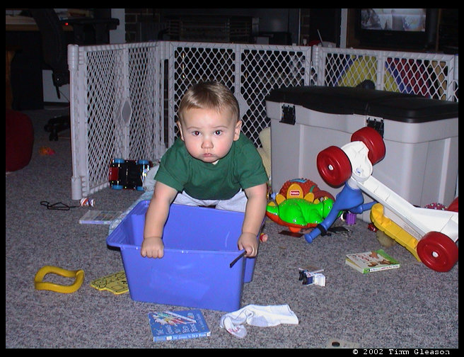 Logan really likes his bin we will see if he sits in it.