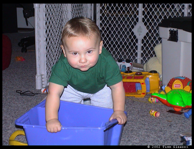 Are you getting in the bin son?