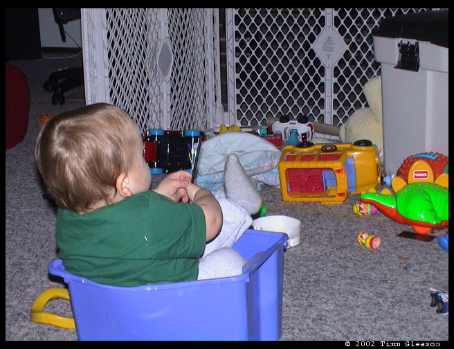 Will he ever get out of the bin?
