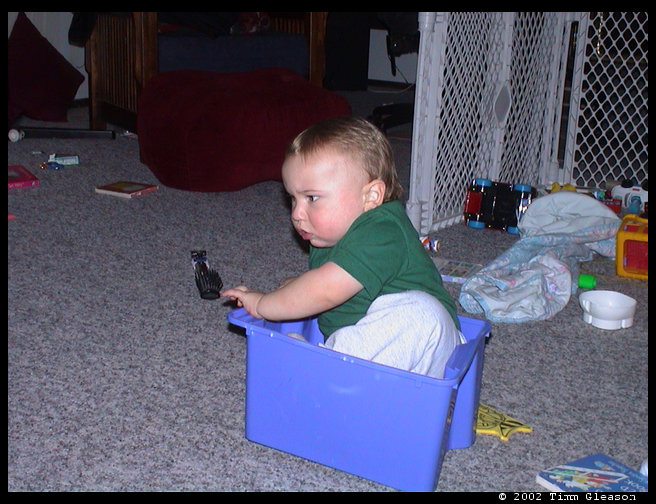 He loves to sit in things.