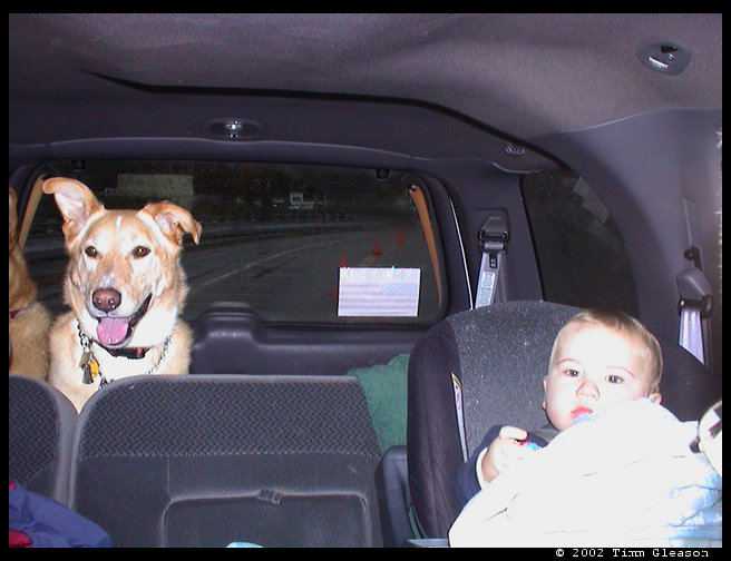 Maya and Logan in the car on the ferry.