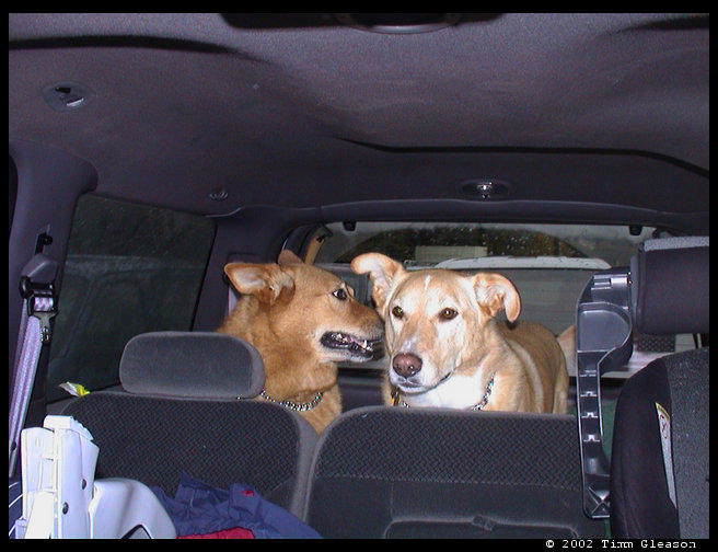 Baja are you giving Maya a kiss?  