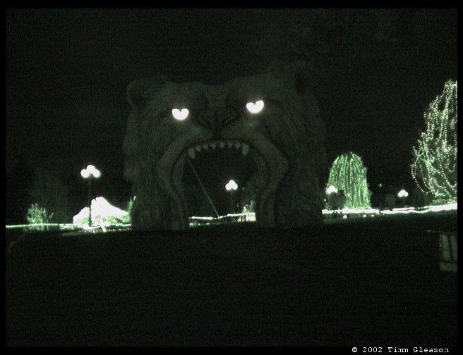 This is the bear that you walk through to start the Zoo Light tour.