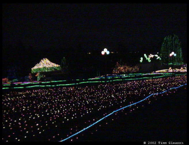 Looking down towards the aquarium.