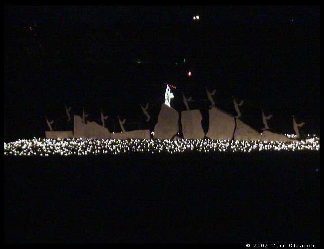 Another picture of penguins.